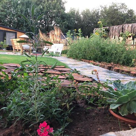 فيلا Tiny House Kayakoey Nar فتحية المظهر الخارجي الصورة